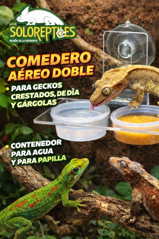 COMEDERO AEREO DOBLE DE ACRILICO