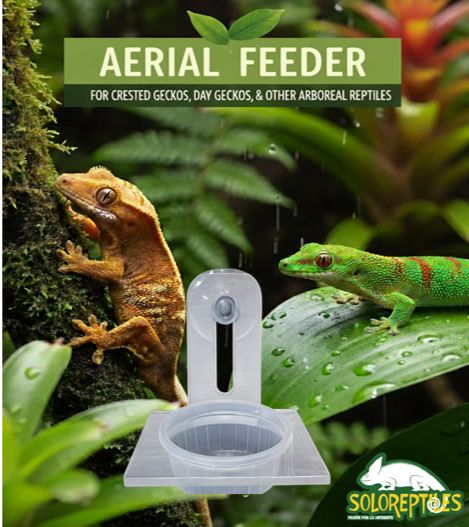 COMEDERO AEREO INDIVIDUAL DE ACRILICO