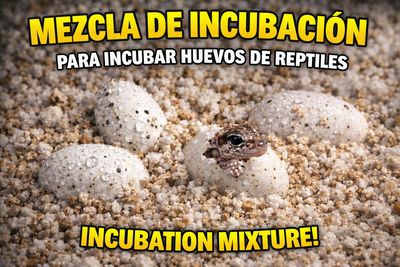 MEZCLA DE INCUBACION
