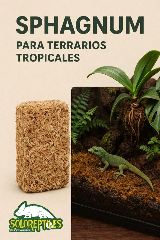 MUSGO SPHAGNUM