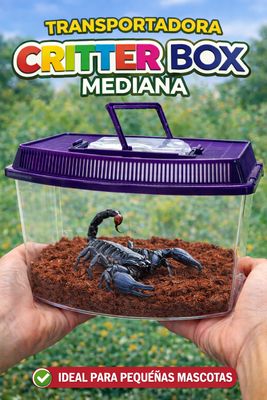 TRANSPORTADORA CRITTER BOX TRANSPARENTE MEDIANA