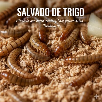 SALVADO DE TRIGO 1KG