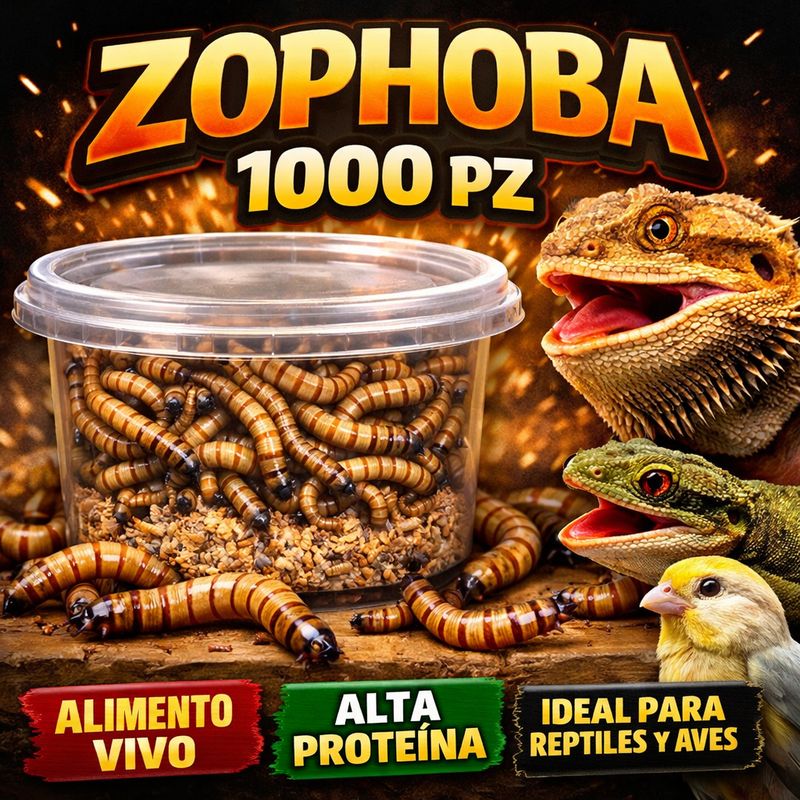 ZOPHOBA MILLAR