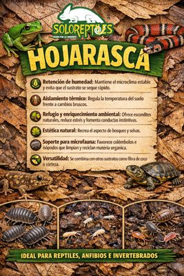 HOJARASCA