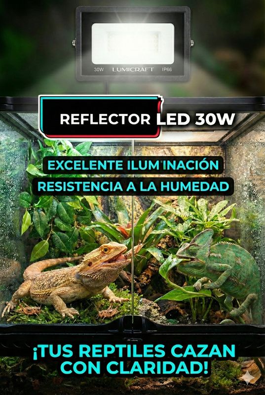 REFLECTOR LED PARA ILUMINACION 30w
