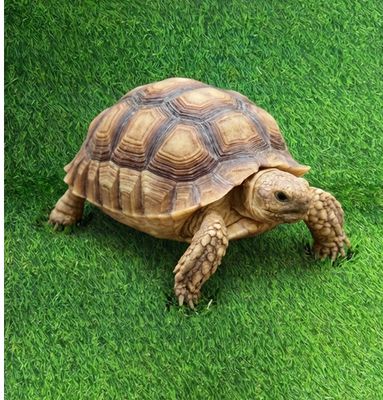 PASTO SINTETICO PARA REPTILES 60x40