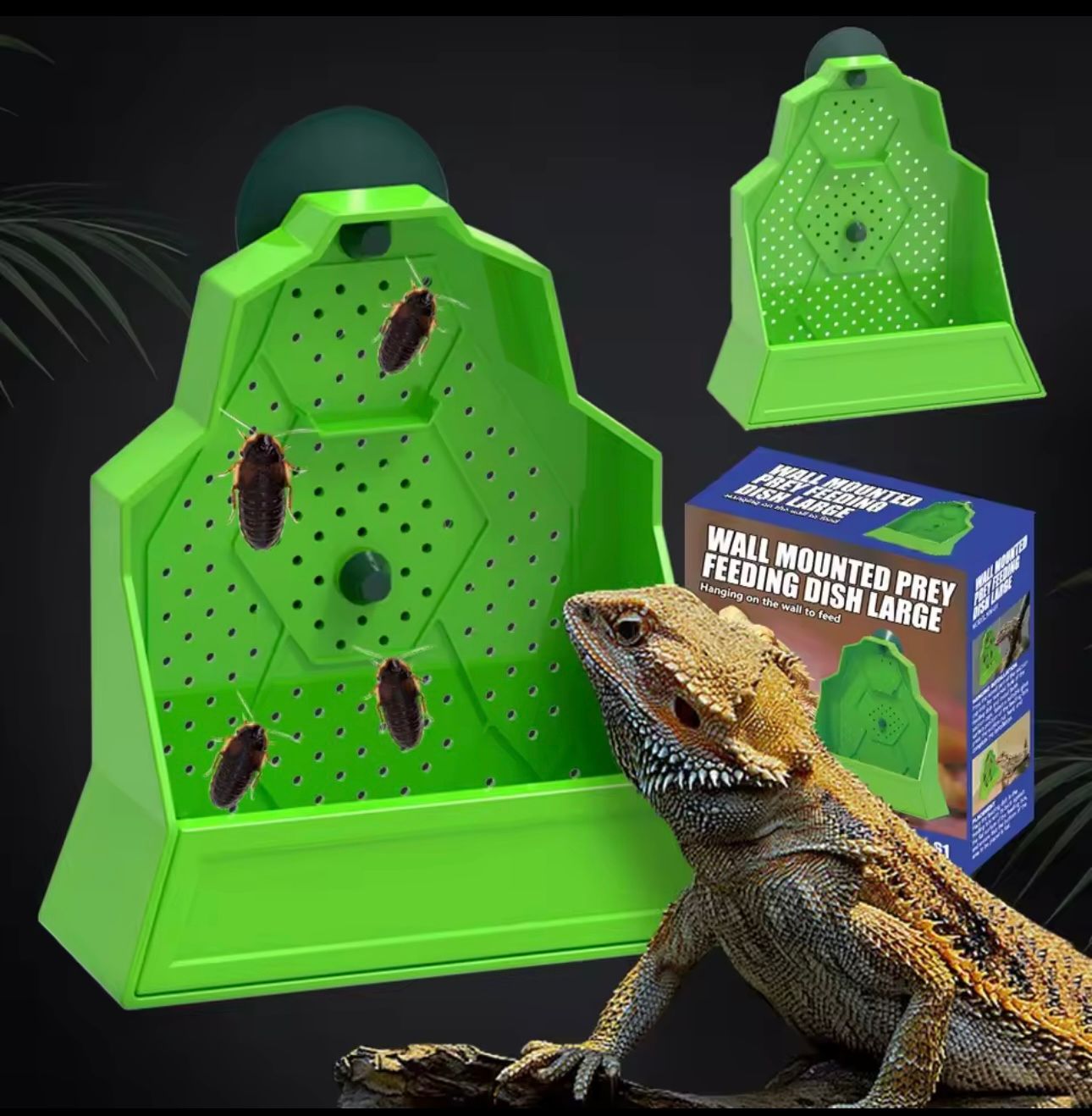 COMEDERO CAMALEON TRIANGULAR CHICO