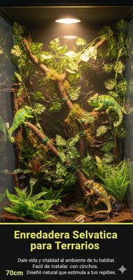 ENREDADERA SELVATICA PARA TERRARIOS