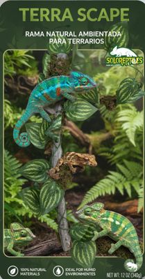 RAMA NATURAL AMBIENTADA