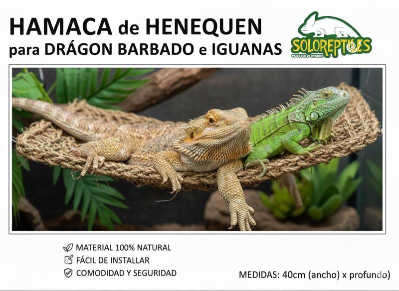 HAMACA PARA DRAGON BARBADO E IGUANAS