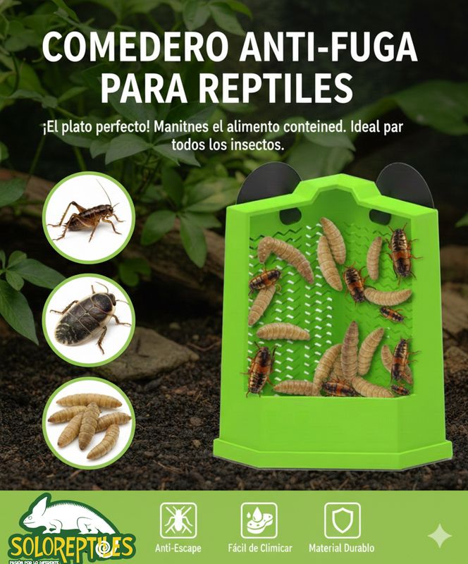 COMEDERO ANTIFUGAS ESQUINERO