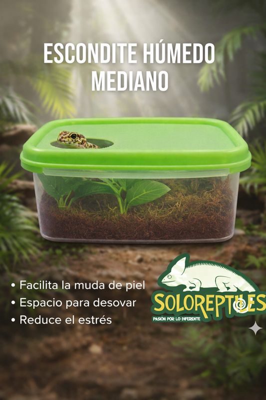 ESCONDITE HUMEDO MEDIANO PLASTICO
