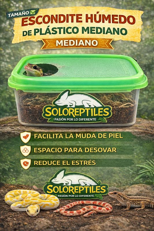 ESCONDITE HUMEDO MEDIANO PLASTICO