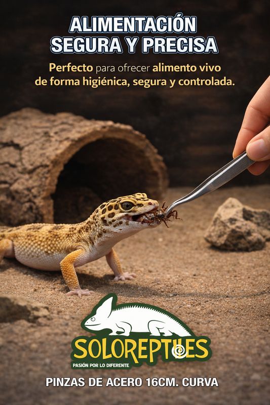 PINZAS DE ACERO 16CM. CURVAS