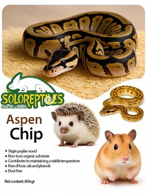 ASPEN CHIP
