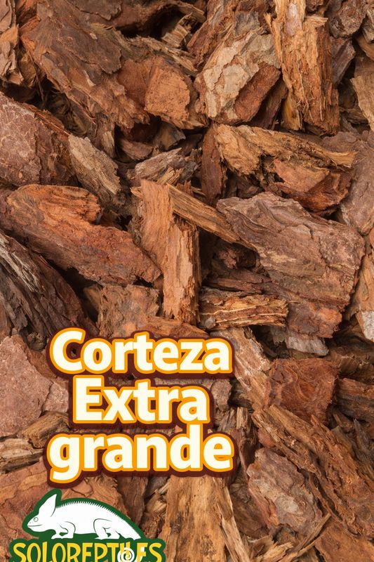 CORTEZA EXTRA GRANDE