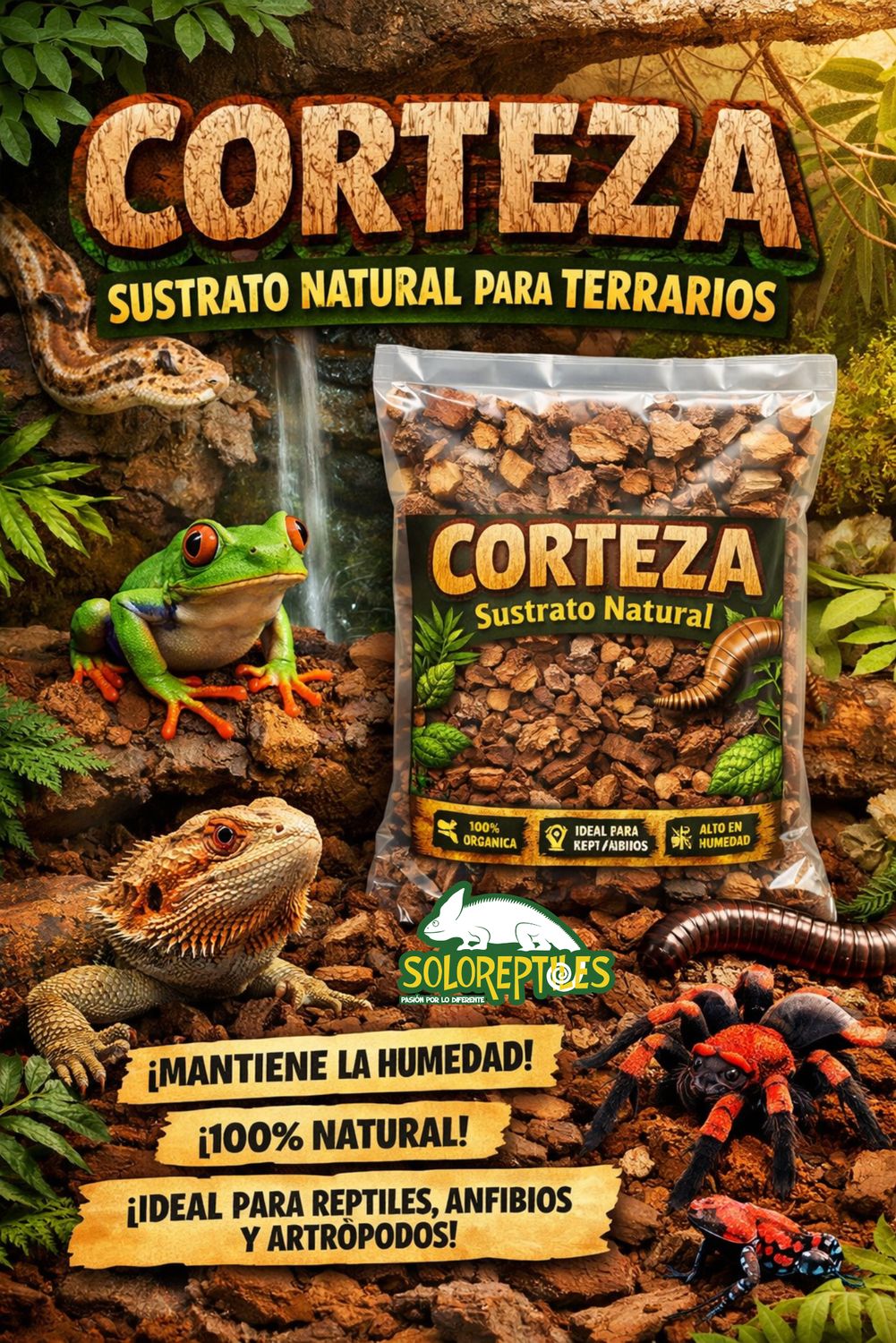 CORTEZA EXTRA GRANDE