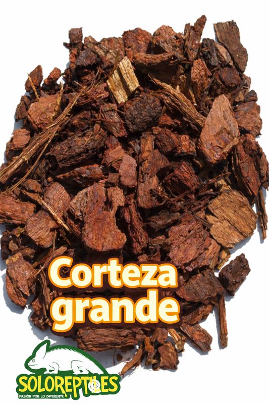 CORTEZA GRANDE