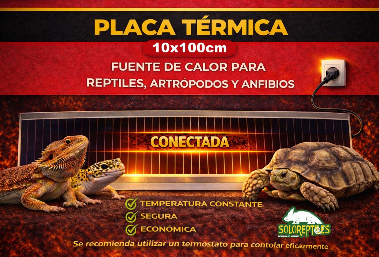 PLACA TERMICA 10X100cm