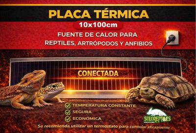 PLACA TERMICA 10X100cm