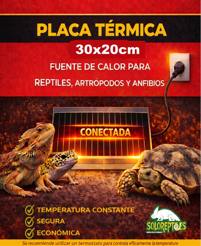 PLACA TERMICA 30X20cm