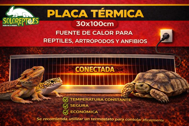 PLACA TERMICA 30X100cm