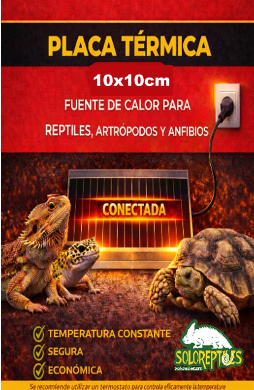 PLACA TERMICA 10X10cm