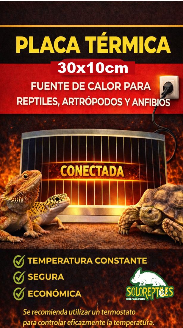 PLACA TERMICA 10X30cm