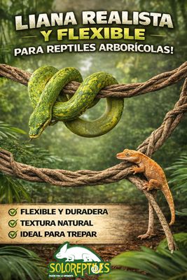 LIANA FLEXIBLE DELGADA DOBLE