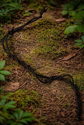 LIANA FLEXIBLE DELGADA DOBLE