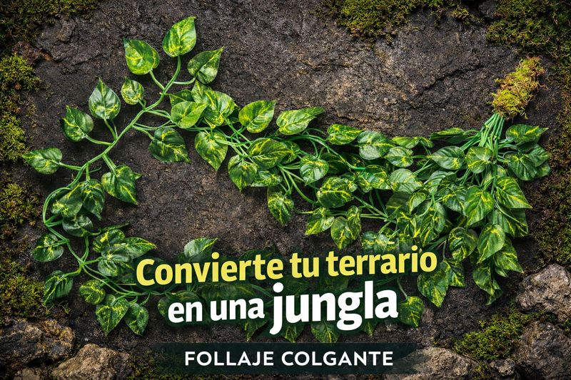 FOLLAJE COLGANTE