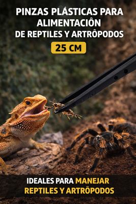 PINZAS DE PLASTICO PARA ALIMENTACION 25 cm