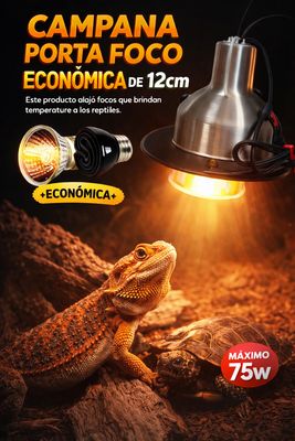 CAMPANA PORTA FOCO ECONOMICA MEDIANA