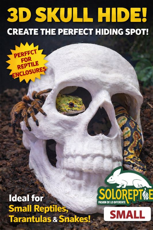 ESCONDITE CALAVERA CHICO