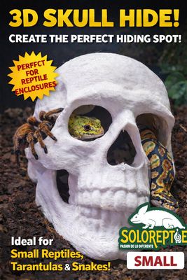 ESCONDITE CALAVERA CHICO