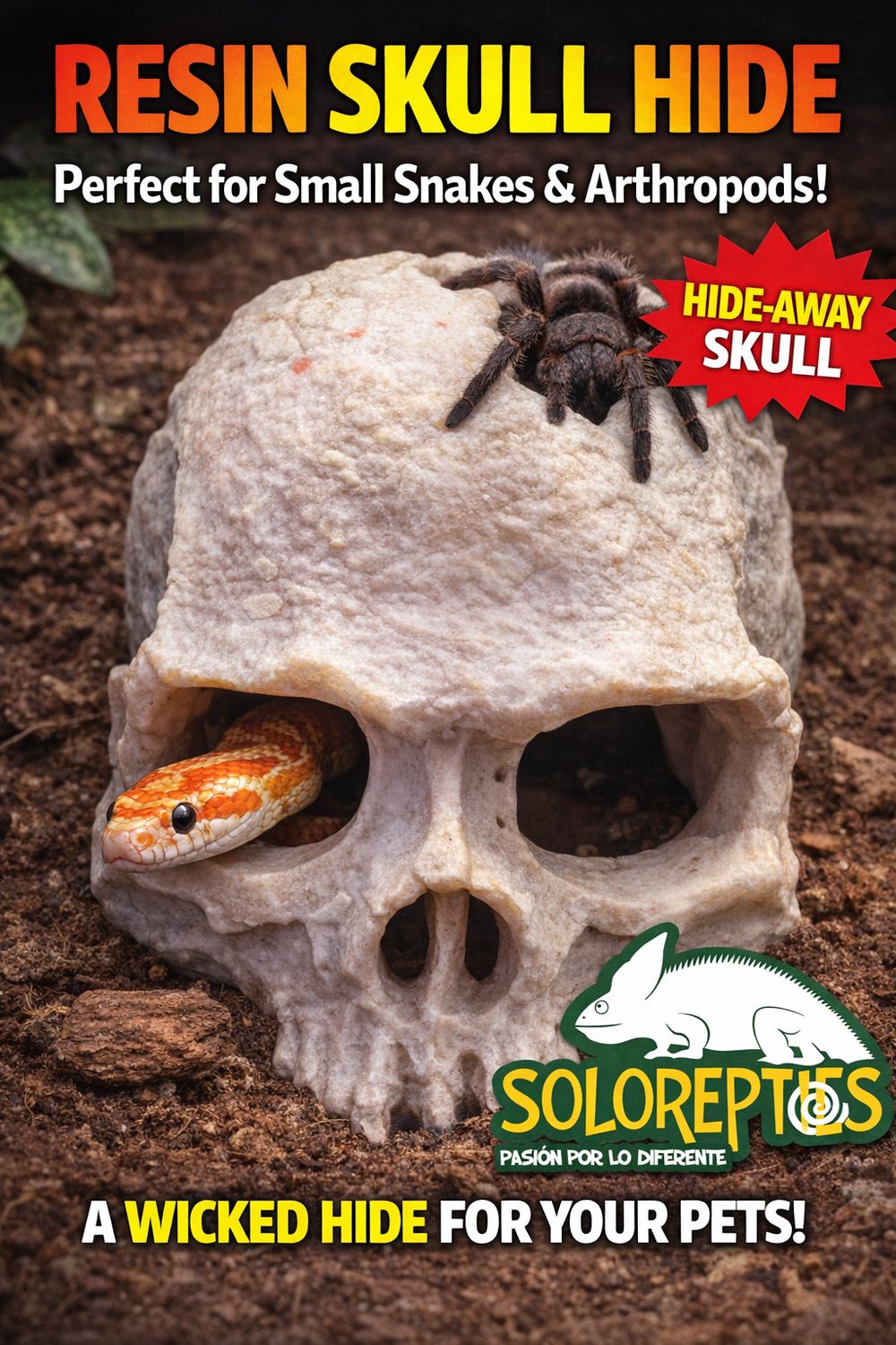 ESCONDITE CRANEO RESINA