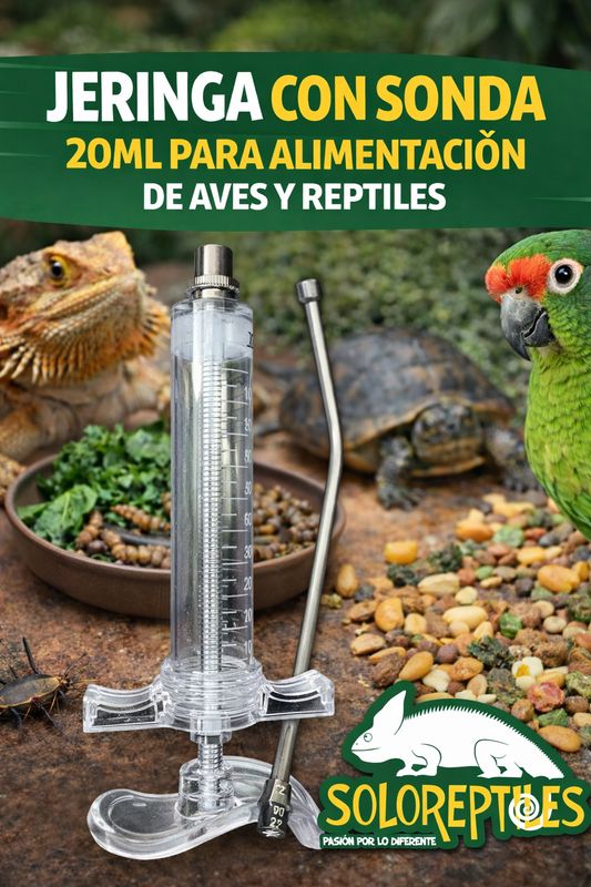 JERINGA DE ALIMENTACION CON SONDA. 20ml