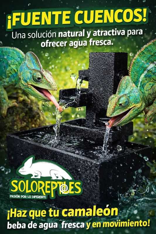 BEBEDERO FUENTE CUENCOS