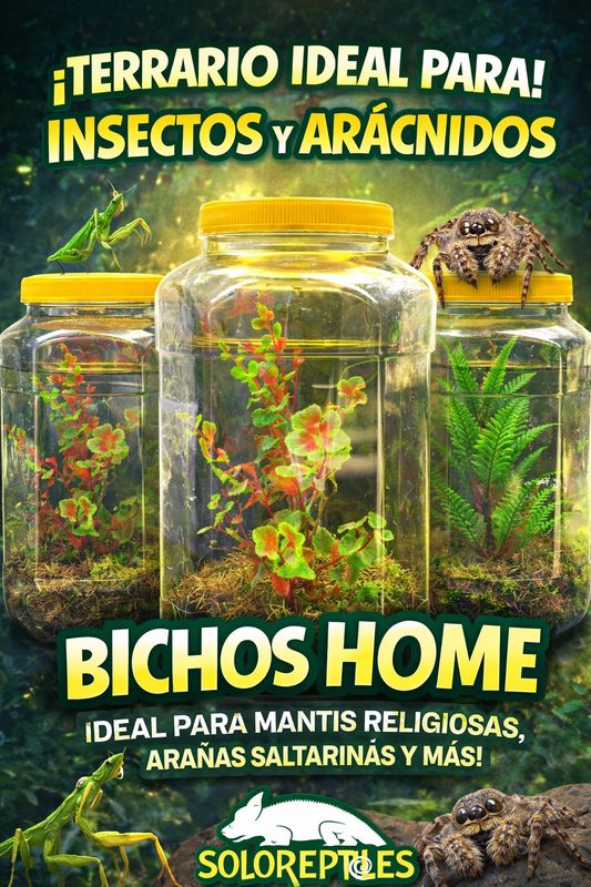 BICHOS HOME GRANDE