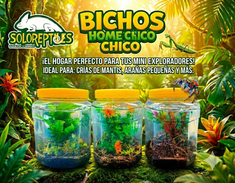 BICHOS HOME CHICO