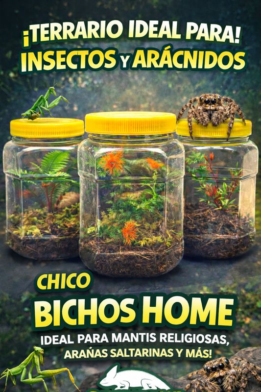 BICHOS HOME CHICO