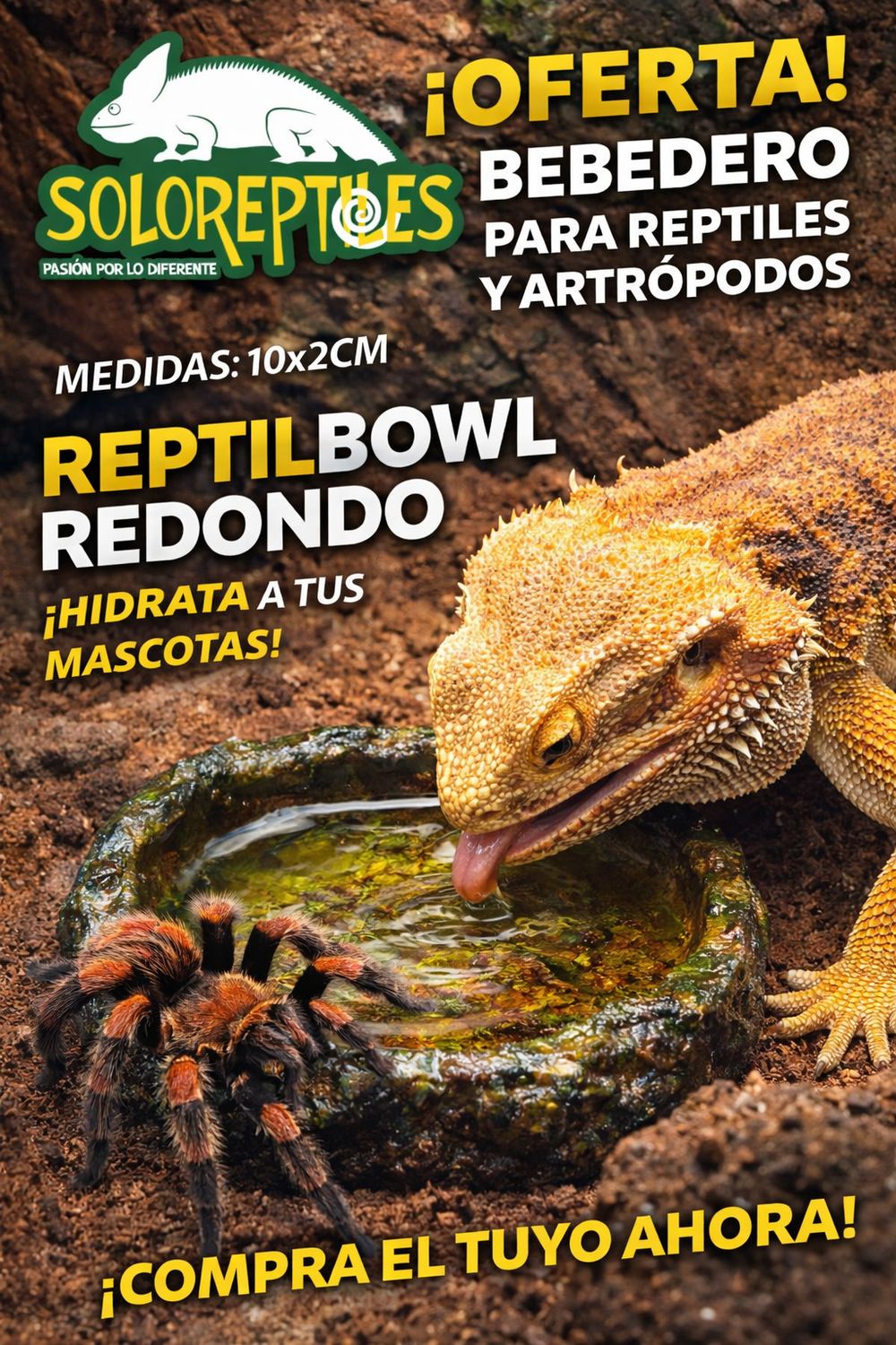 Reptil Bowl Redondo 9x2cm