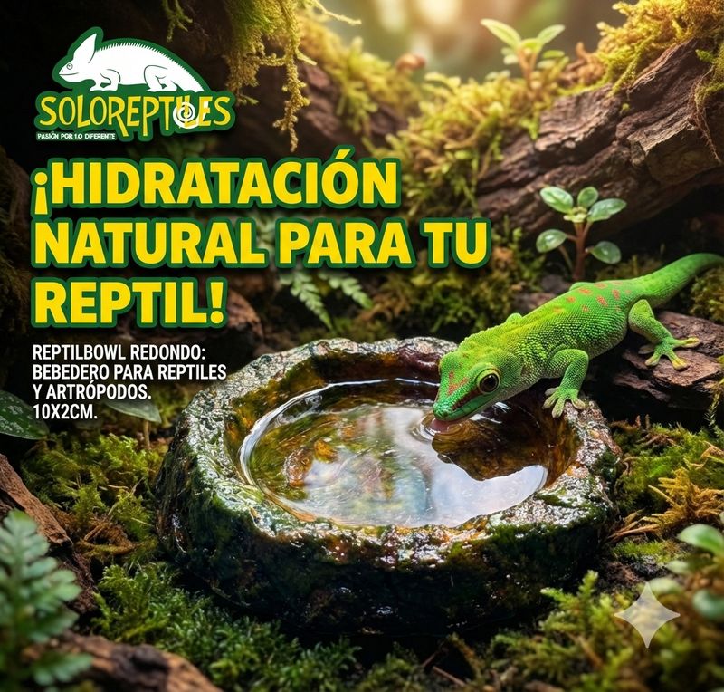 Reptil Bowl Redondo 9x2cm
