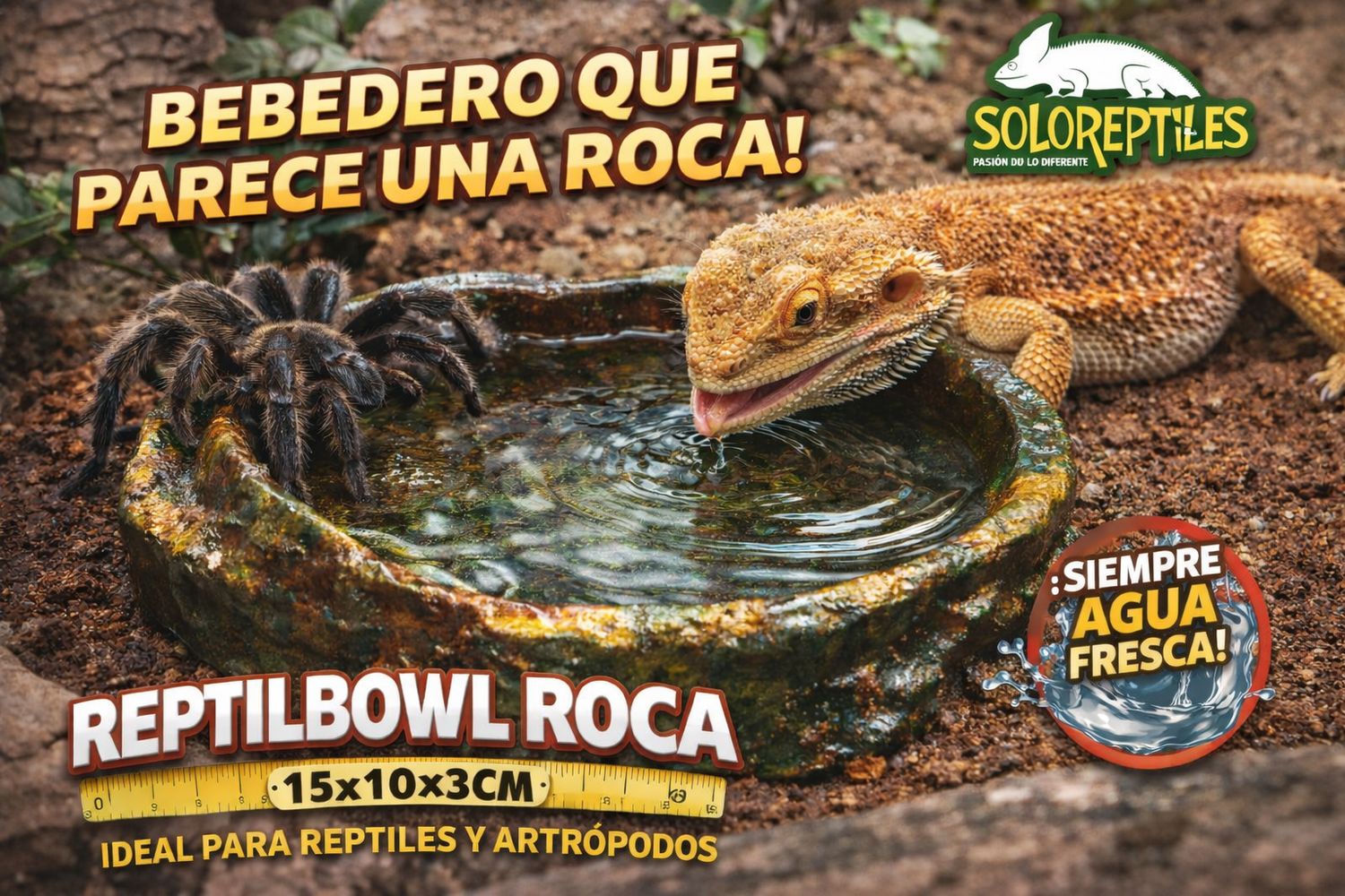Reptil Bowl Roca