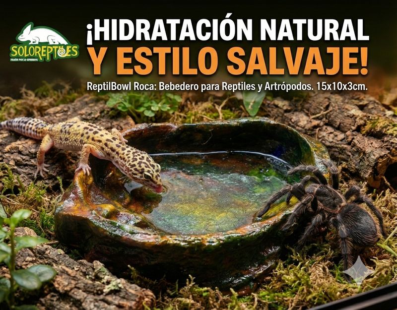 Reptil Bowl Roca
