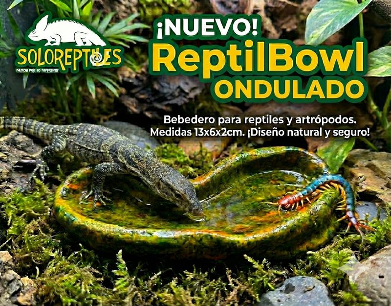 REPTIL BOWL ONDULADO