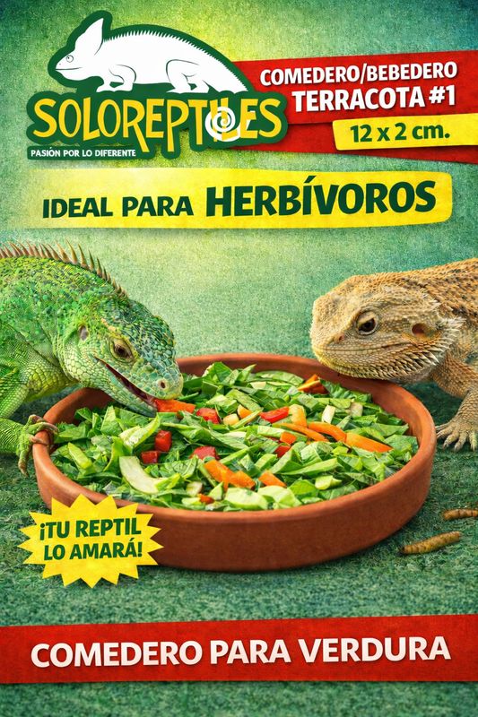 COMEDERO TERRACOTA #1 12x2cm