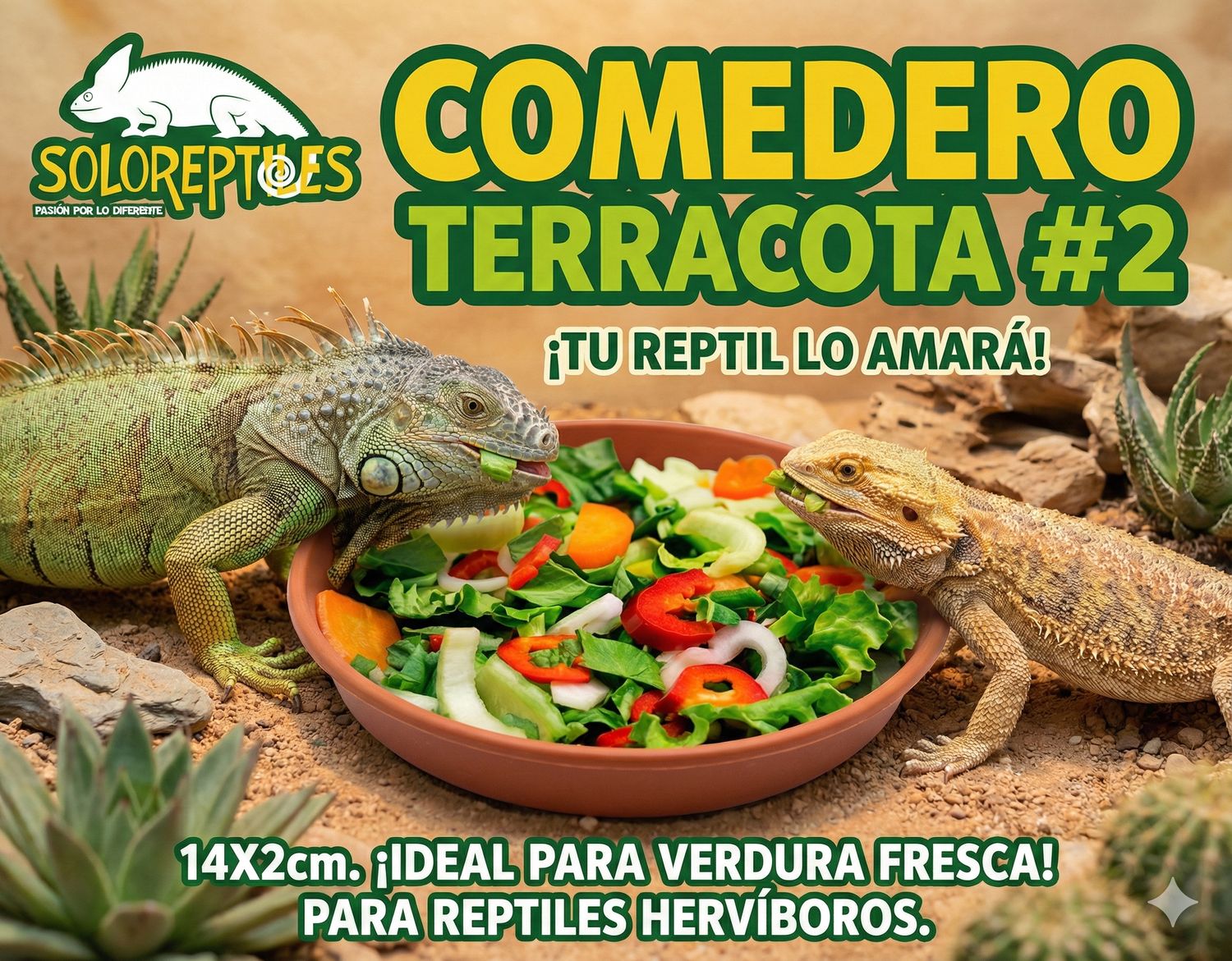 COMEDERO TERRACOTA #2 14x2cm