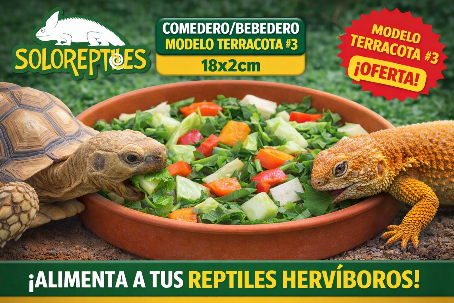 COMEDERO TERRACOTA #3 18x2cm