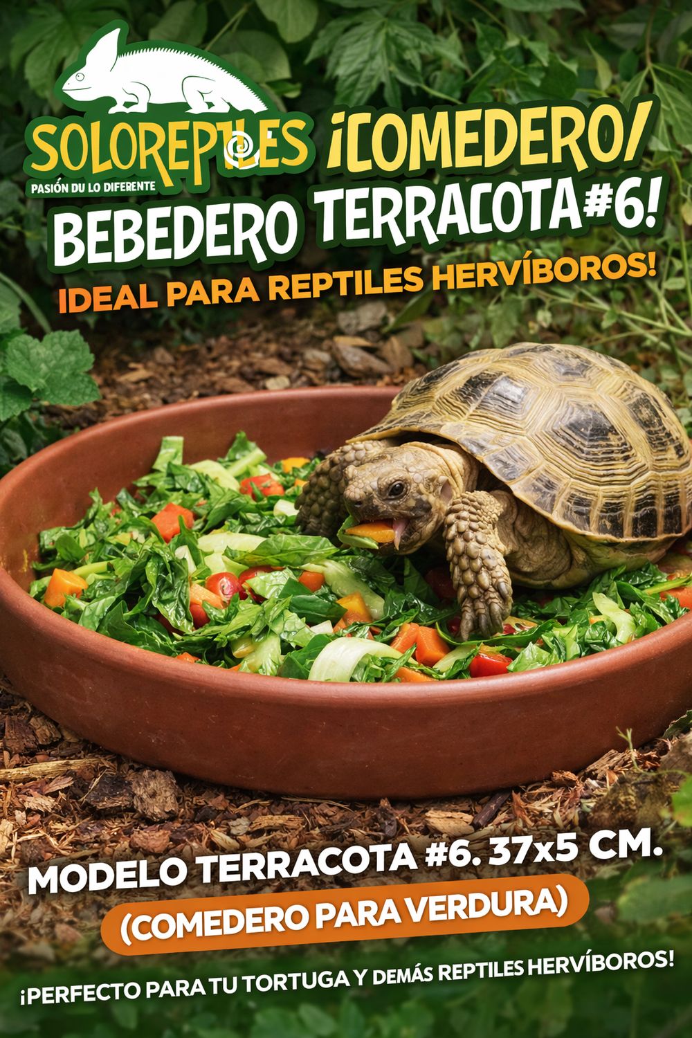 COMEDERO TERRACOTA #6 37X5cm